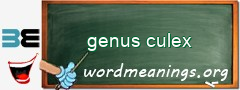WordMeaning blackboard for genus culex